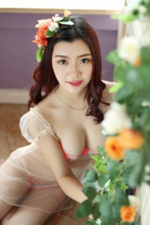 88影视网高清电视剧大全