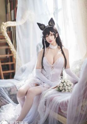 樱花电视剧